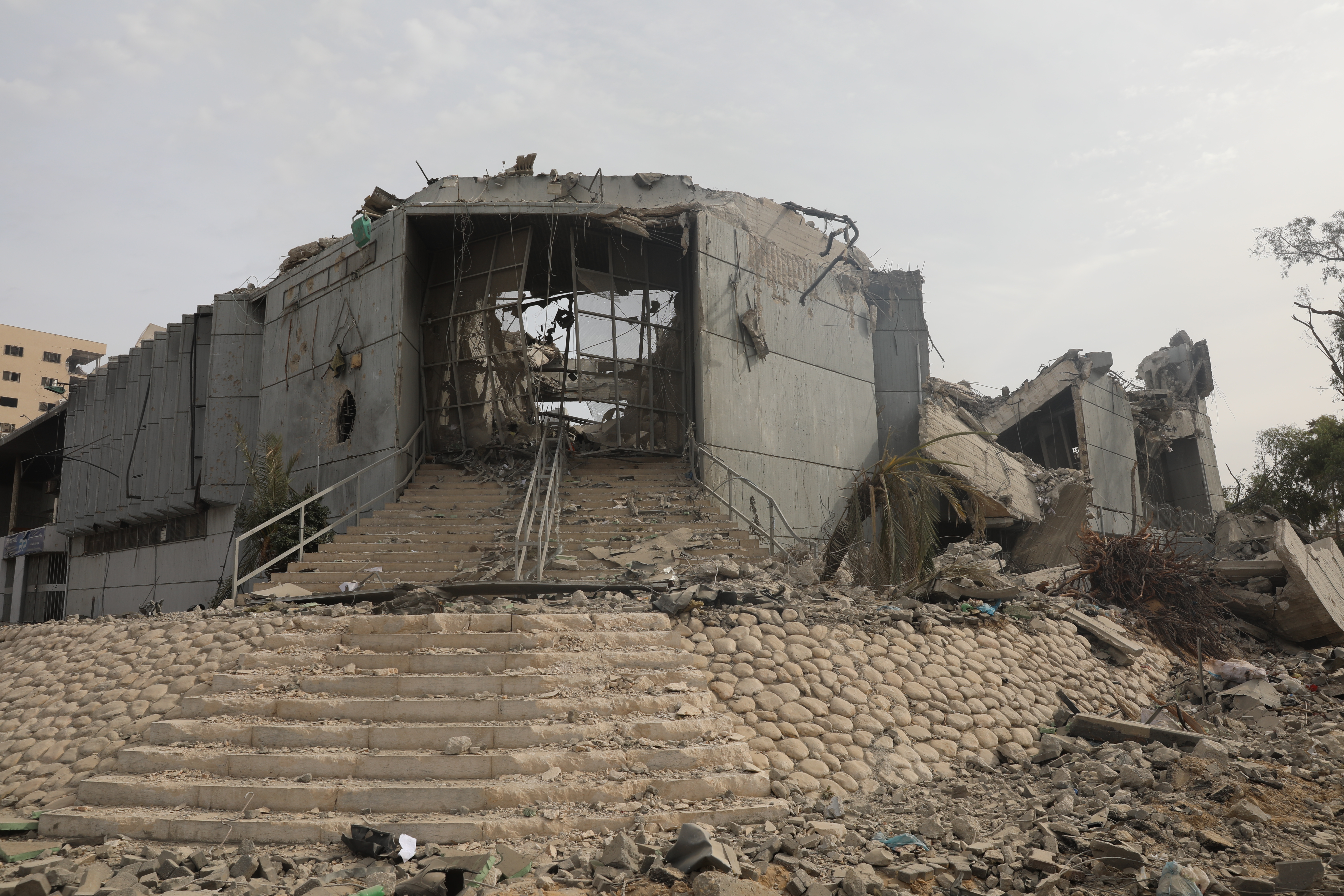 (1) مركز رشاد الشوا.JPG